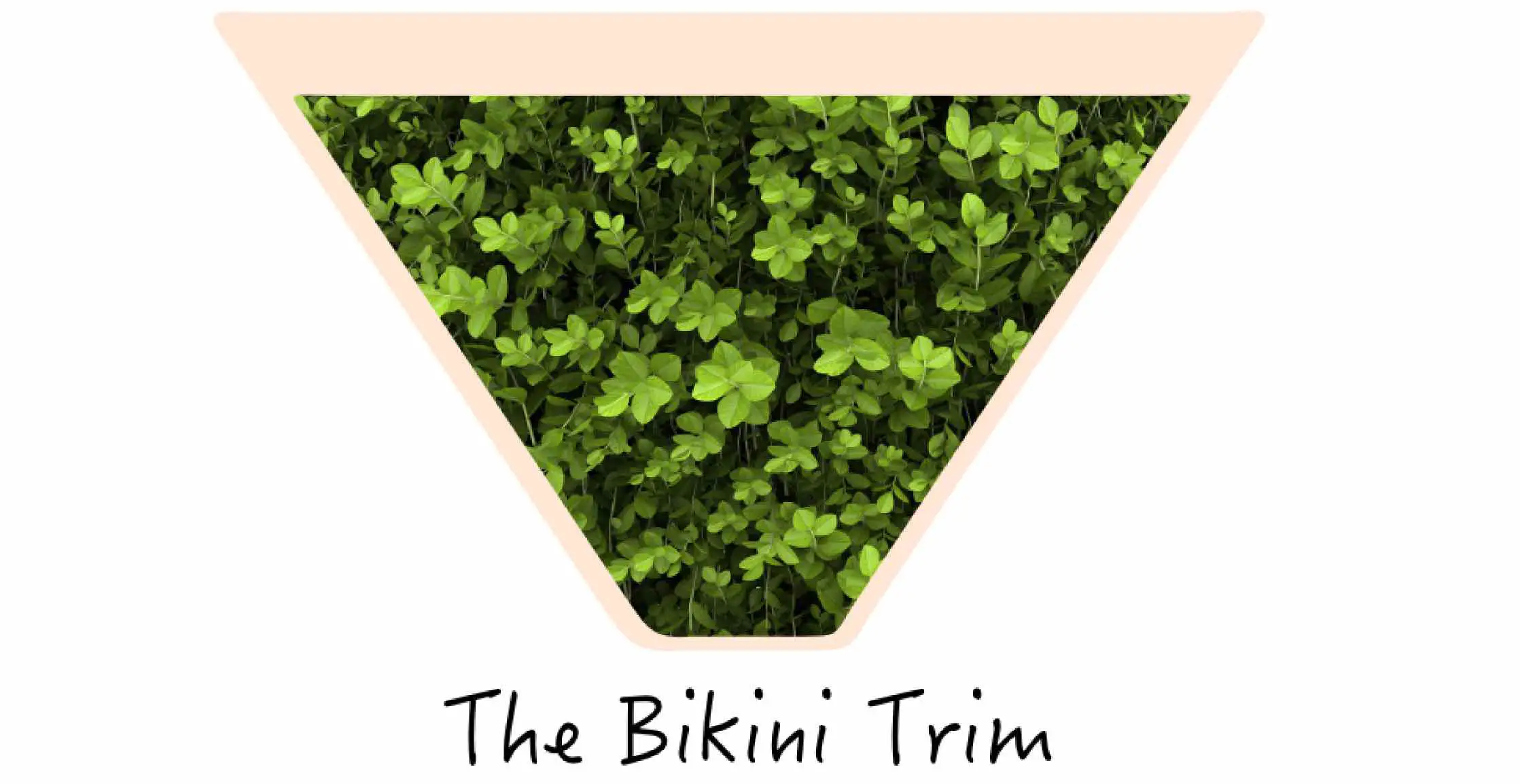Bikini Trim Styles 11