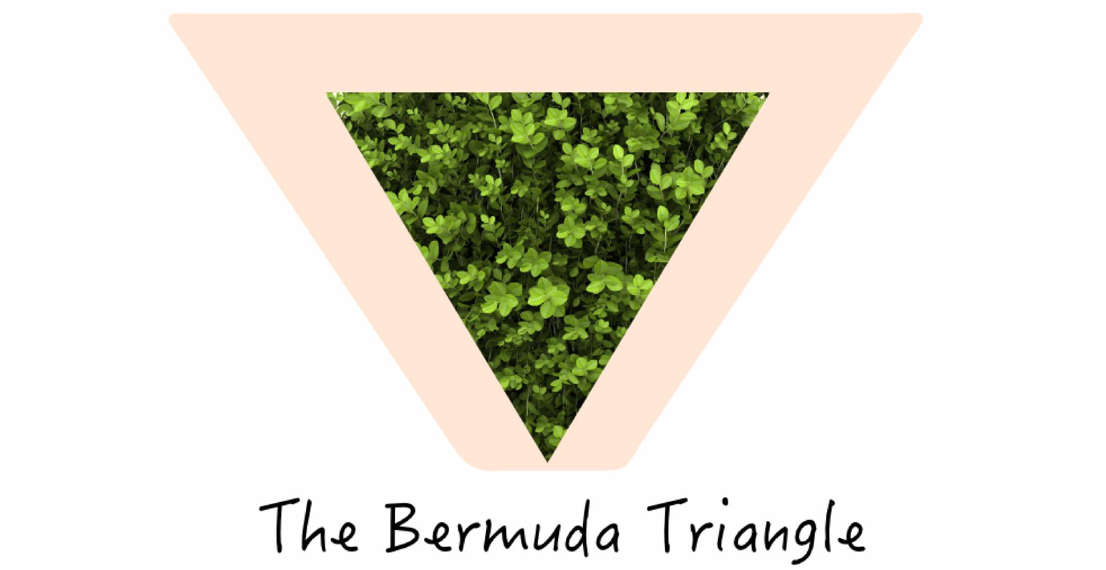 Pubic Hair Styles The Bermuda Triangle 