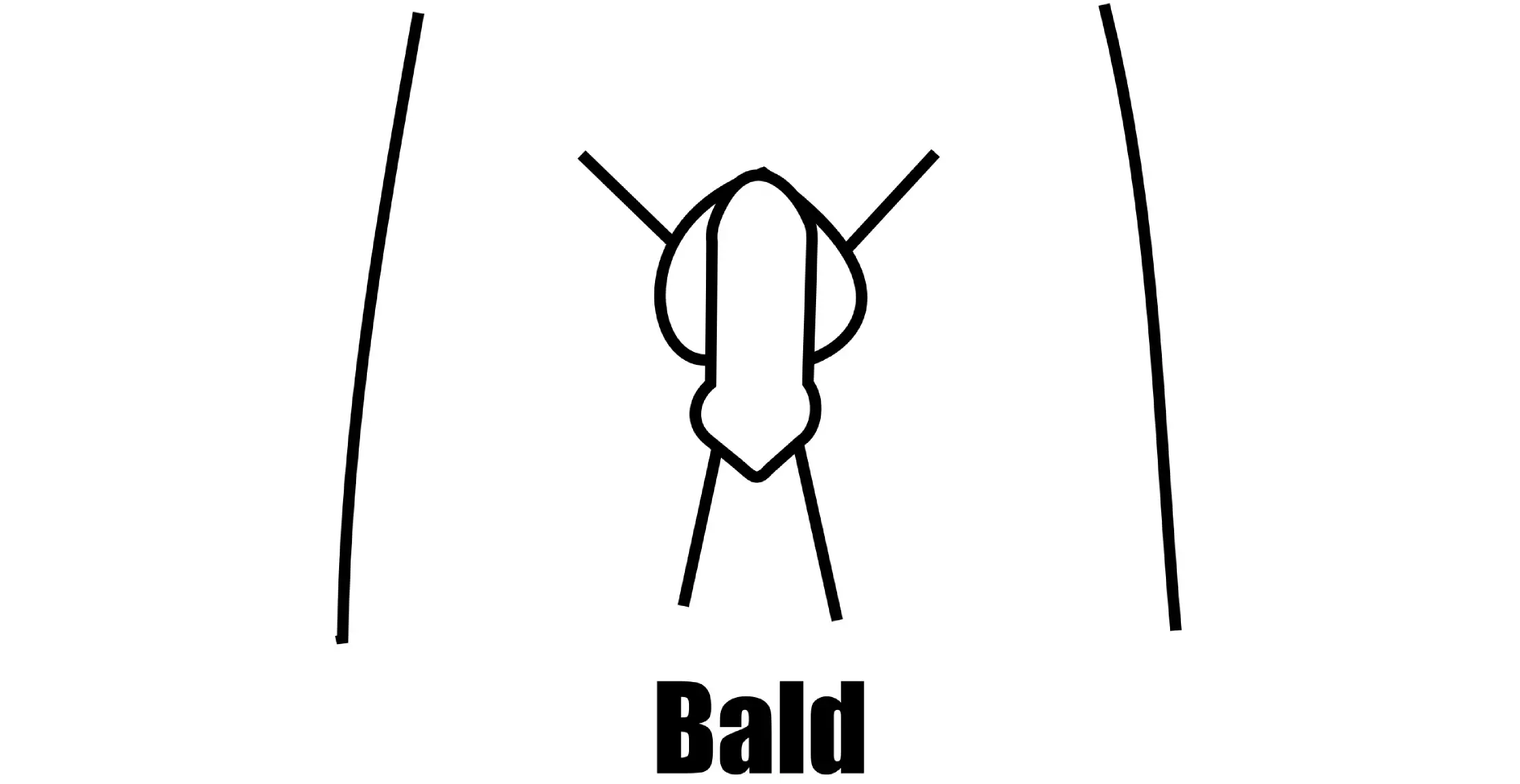 Style penis hair Category:Pubic hair