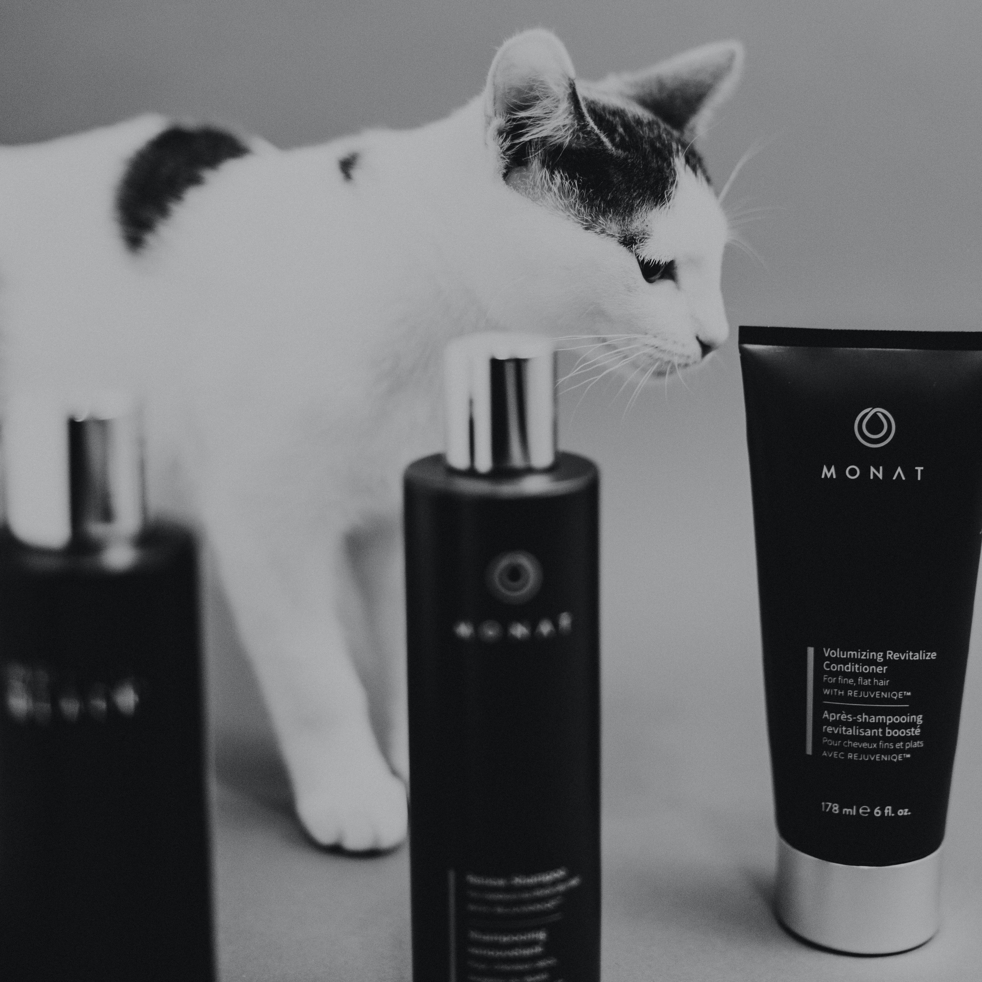 What Is The Difference Between Shampoo And Conditioner?